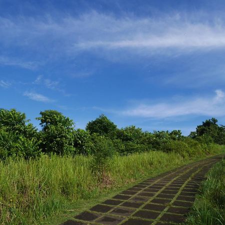 Sari Villa Ubud Exteriér fotografie