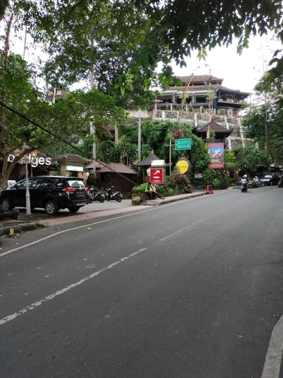 Sari Villa Ubud Exteriér fotografie