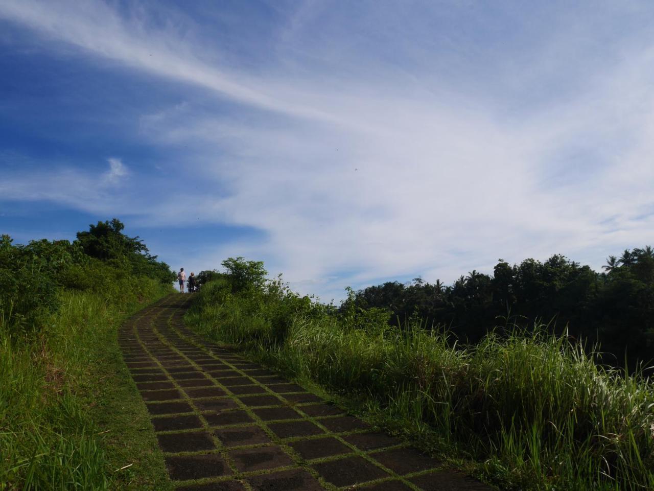 Sari Villa Ubud Exteriér fotografie